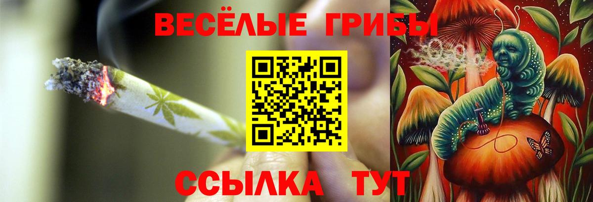 Псилоцибиновые грибы прущие грибы  Вход с VPN  где продают   Когалым 